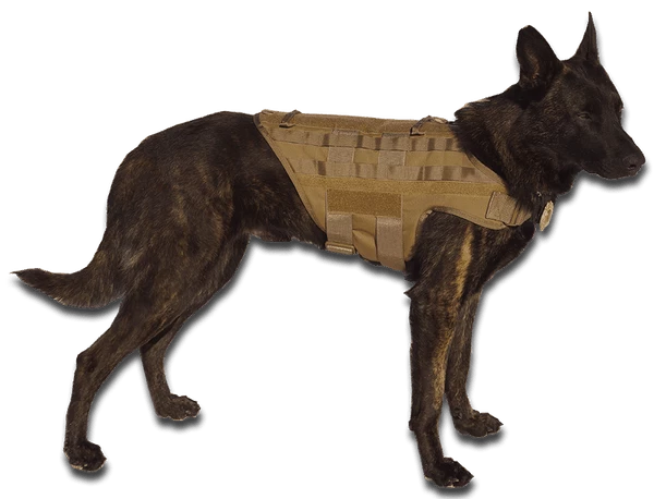 CaliberDog K9 Tactical MOLLE Vest - Image 15