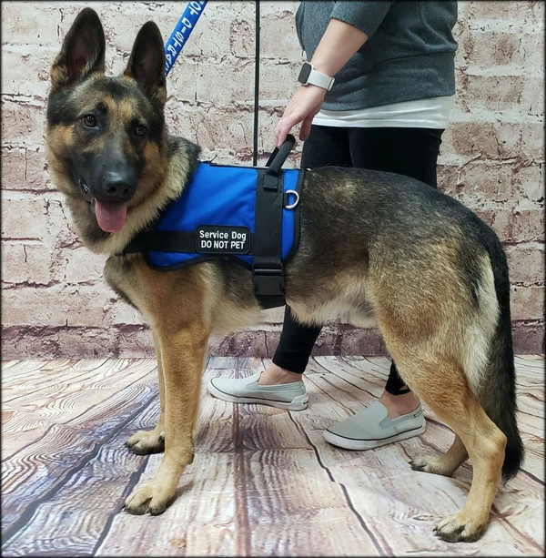 Form Fitted Service Dog Active Cut Vest - Image 2