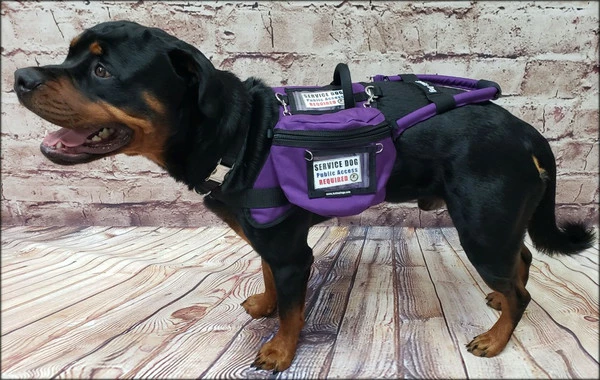 Form Fitted Service Dog Active Cut Vest - Image 8