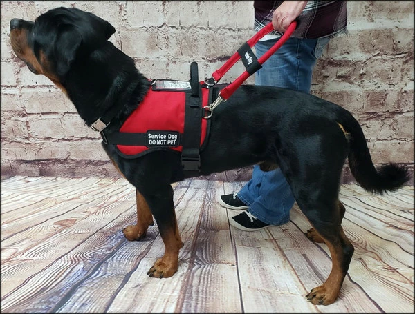 Form Fitted Service Dog Active Cut Vest - Image 10