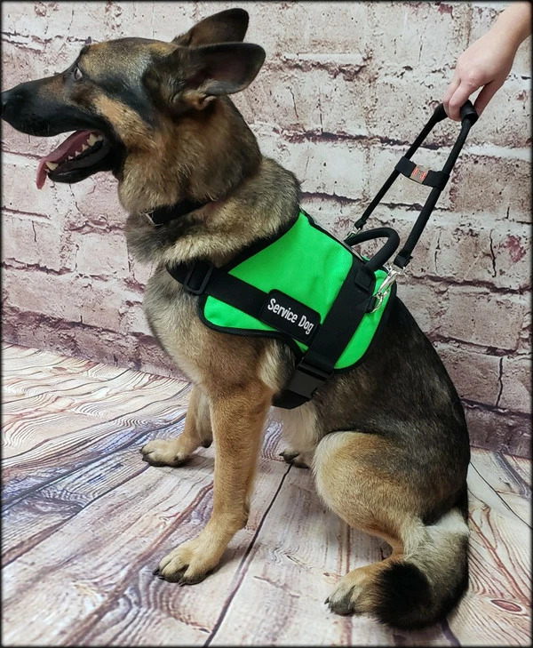 Form Fitted Service Dog Active Cut Vest - Image 11