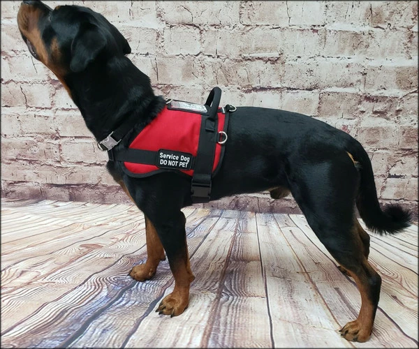 Form Fitted Service Dog Active Cut Vest - Image 19