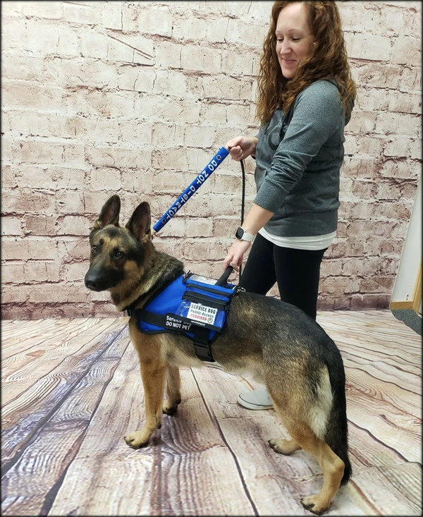 Form Fitted Service Dog Active Cut Vest - Image 21