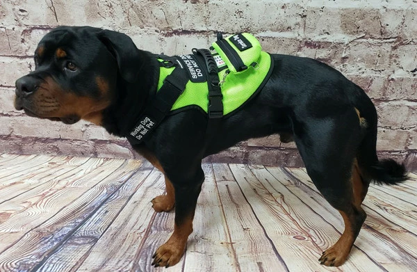 Spacer Mesh Service Dog Cushion Comfort Harness Vest - Image 5