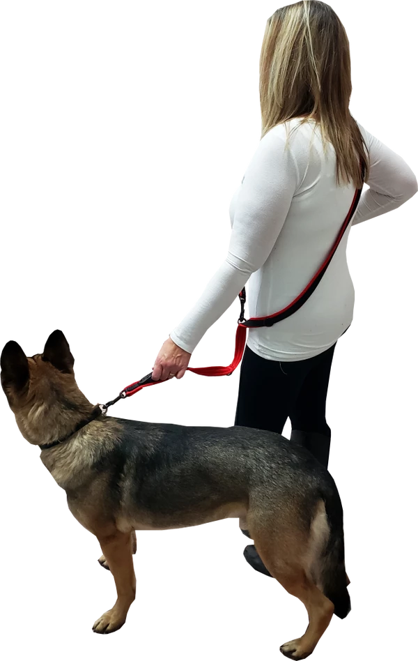 Spacer Mesh Service Dog Hands Free Leash - Image 5
