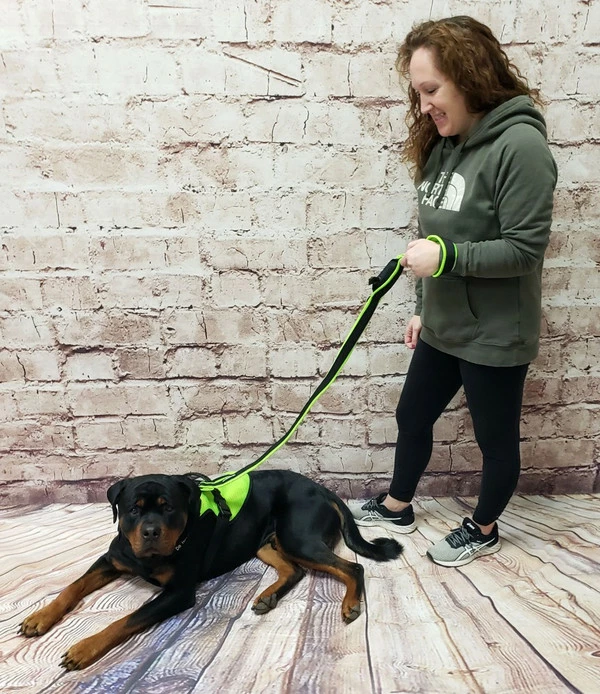 Spacer Mesh Built-In Poop Bag Leash - Image 5