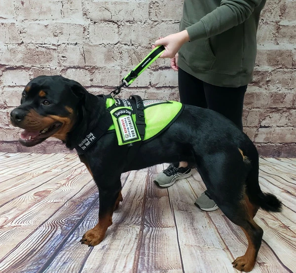 Spacer Mesh Short Pull Tab Leash - Image 2