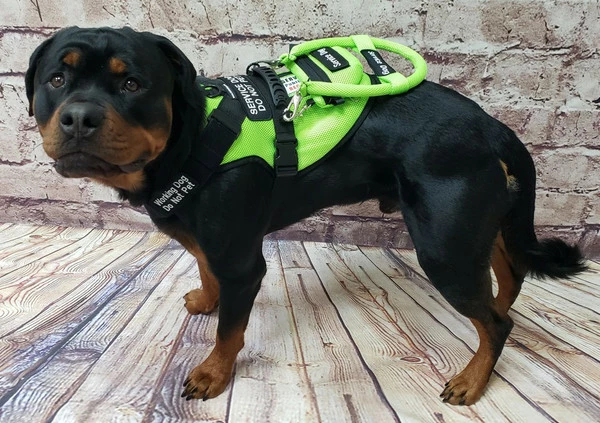 Spacer Mesh Vest Clip-On Small Bag - Image 11