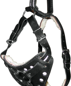 Leather Reflective Standing Handle Harness