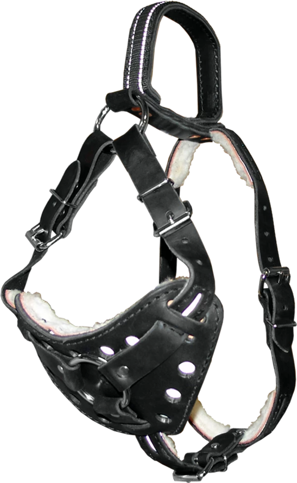 Leather Reflective Standing Handle Harness