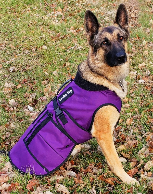 Cold Weather Service Dog Coat - Image 12