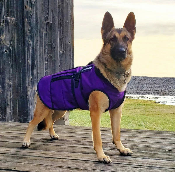 Cold Weather Service Dog Coat - Image 13