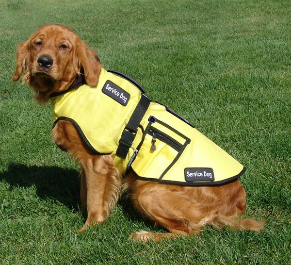 Cold Weather Service Dog Coat - Image 14