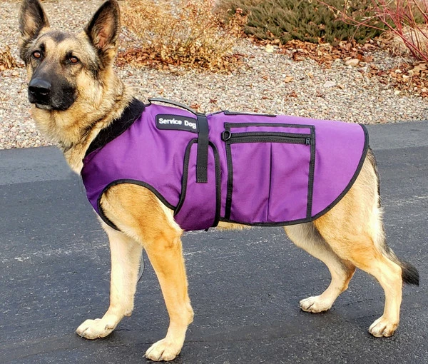 Cold Weather Service Dog Coat - Image 2