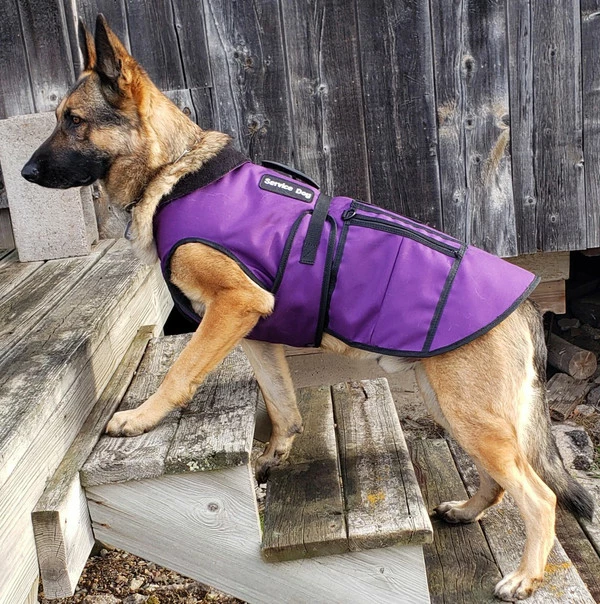 Cold Weather Service Dog Coat - Image 7