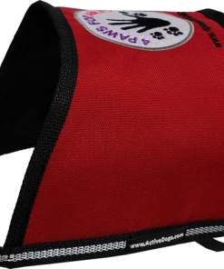 Custom Logo/Text Service Dog Starter Cape