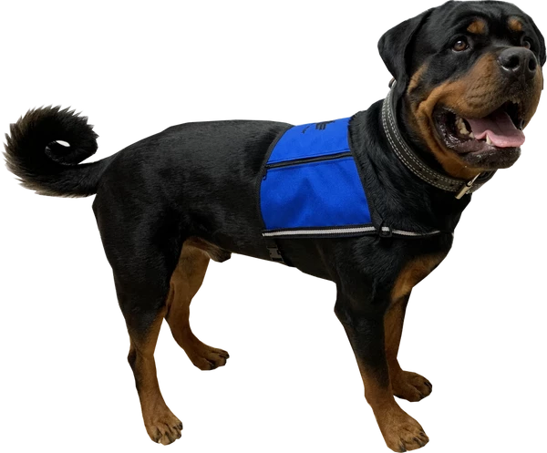 Custom Logo/Text Service Dog Starter Cape W/ Zipper Pockets - Image 2