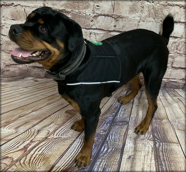 Custom Logo/Text Service Dog Starter Cape W/ Zipper Pockets - Image 9