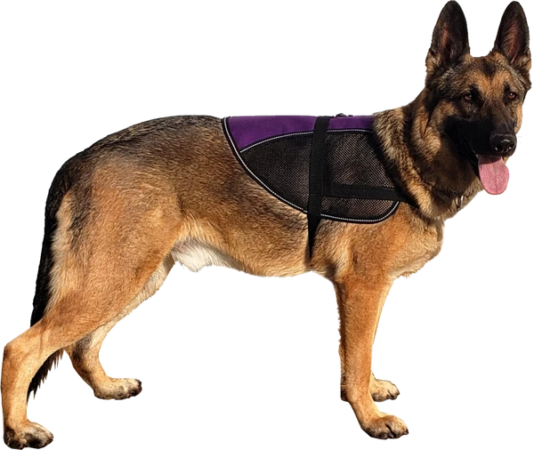 Custom Logo/Text Service Dog Vest - Hybrid Mesh Vest - Image 2