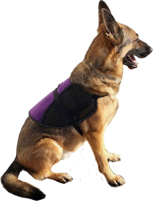 Custom Logo/Text Service Dog Vest - Hybrid Mesh Vest - Image 8