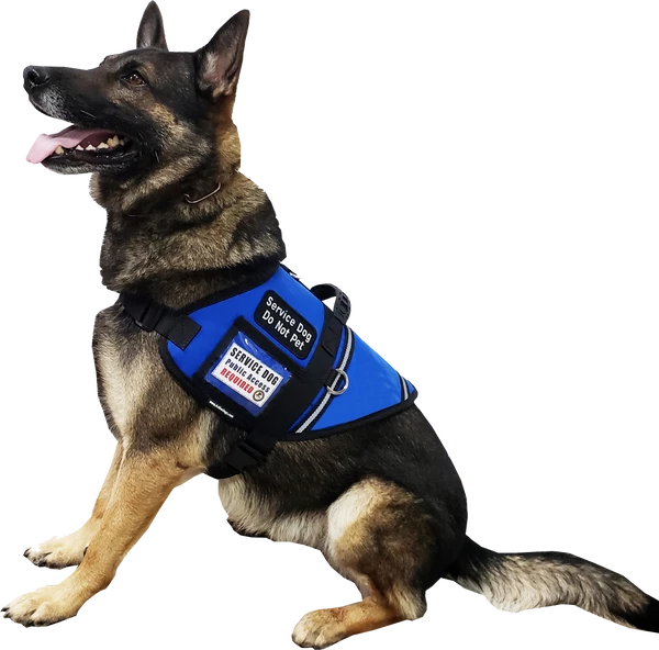 Custom Logo S&R Style Vest - Image 5