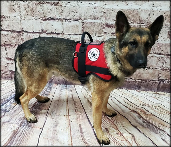 Custom Logo Service Dog Form Fitted Active Cut Vest - Image 3