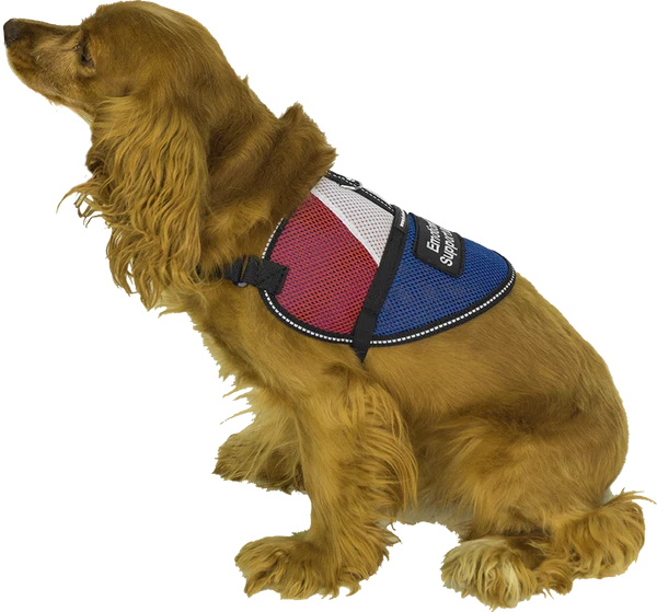 Patriotic Small Dog Mesh Vest - Image 2