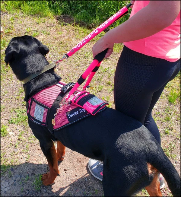 Mesh Vest With Handle & Clear ID Pocket - Image 6
