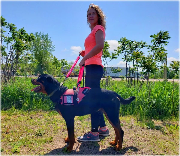 Mesh Vest With Handle & Clear ID Pocket - Image 2