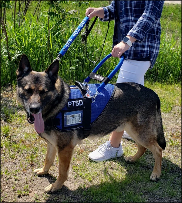 Mesh Vest With Handle & Clear ID Pocket - Image 4