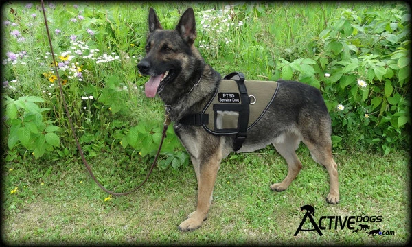 Mesh Vest With Handle & Clear ID Pocket - Image 10