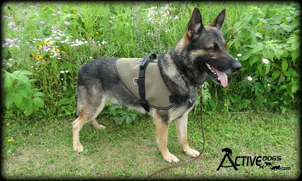 Mesh Vest With Handle & Clear ID Pocket - Image 12