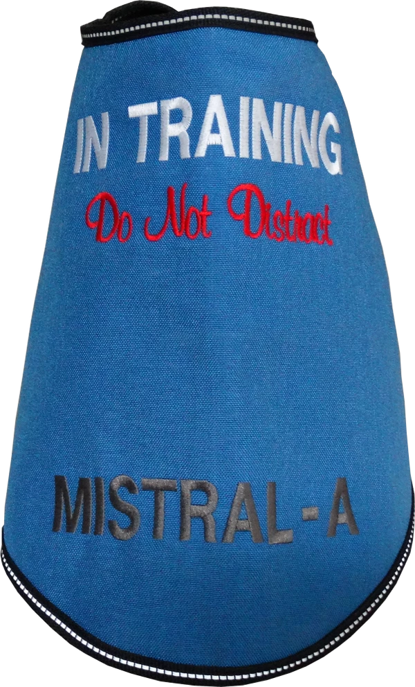 Dog In Training - Do Not Distract Jacket/Vest - Image 4