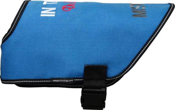 Dog In Training - Do Not Distract Jacket/Vest - Image 6