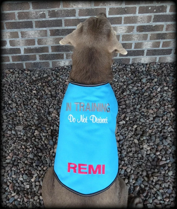 Dog In Training - Do Not Distract Jacket/Vest - Image 2