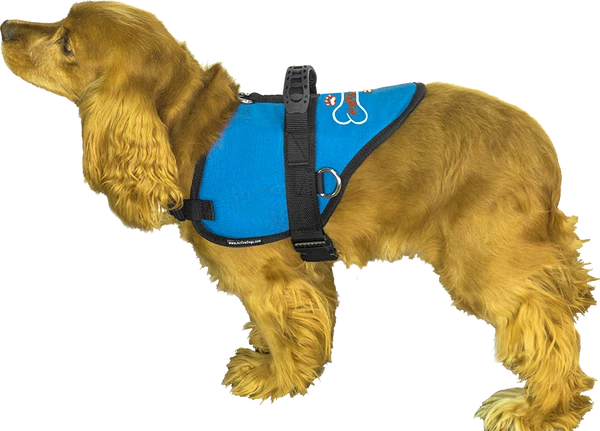 Custom Logo Padded Harness Vest - Image 9