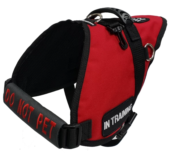 Chest Strap Identification Cover - All Colors - Custom Text - Image 12