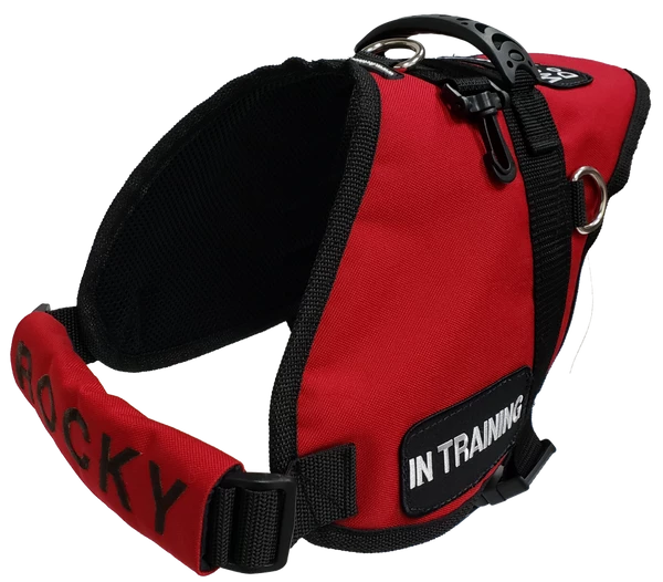 Chest Strap Identification Cover - All Colors - Custom Text - Image 14