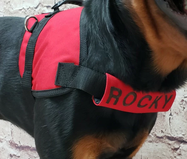 Chest Strap Identification Cover - All Colors - Custom Text - Image 3