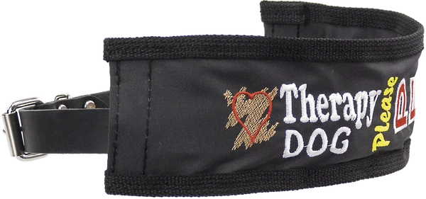 Embroidered Identification Leash Wrap - Image 10