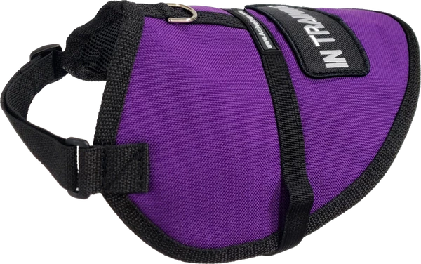 Padded Service Dog Vest - Sm/Med Dog