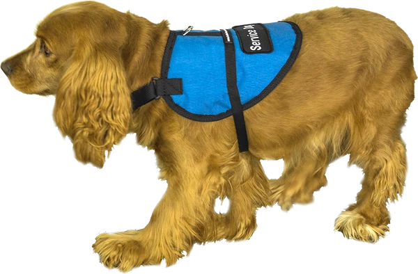 Padded Service Dog Vest - Sm/Med Dog - Image 4