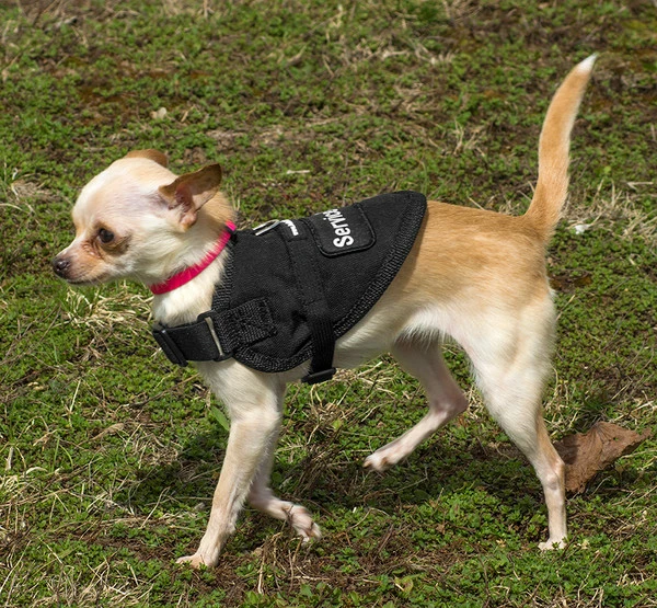 Padded Service Dog Vest - Sm/Med Dog - Image 7