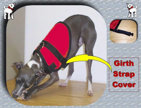 Small Dog Chest & Girth Strap Cover - Image 2