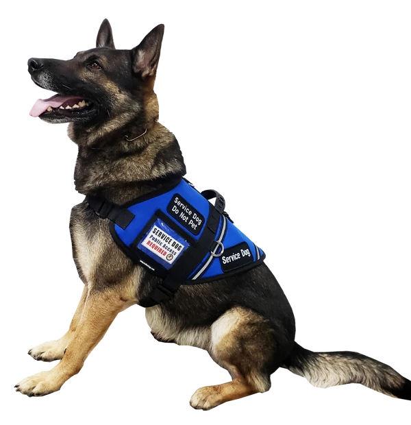 Service Dog S&R Style Vest - Image 3