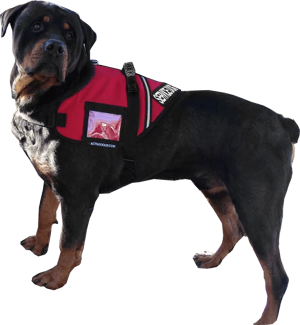 Service Dog S&R Style Vest - Image 16