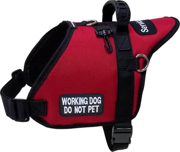 Padded Harness Service Dog Vest