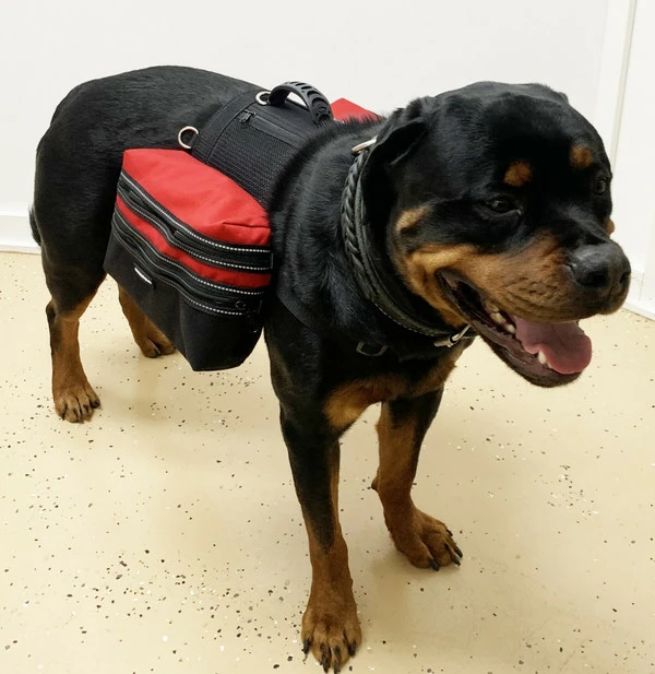 Service Dog Day Trip Pack Bag Harness Vest - Image 9