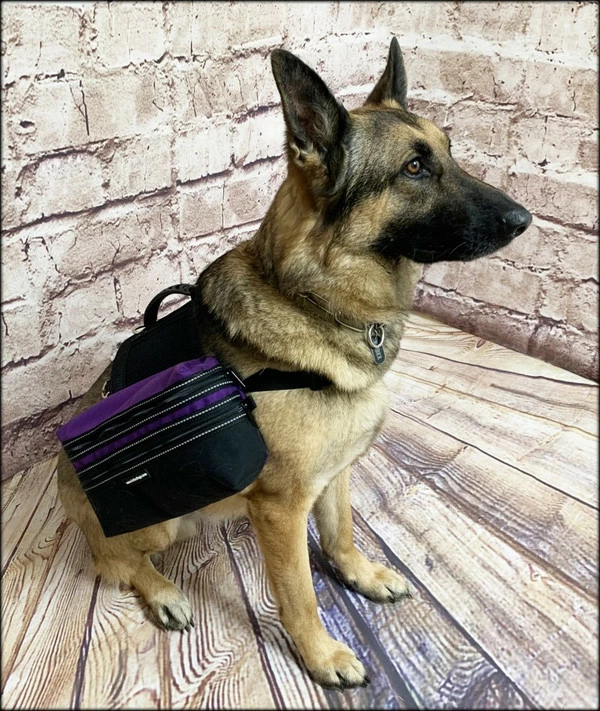 Service Dog Day Trip Pack Bag Harness Vest - Image 10
