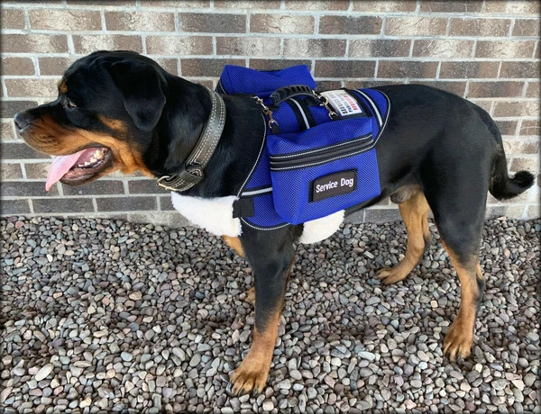 Ultimate Mesh Working Dog Vest W/ Clip-On Accessory Bags - Image 3